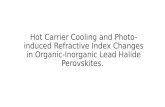 Hot Carrier Cooling and Photo-induced Refractive Index Changes in Organic- Inorganic Lead Halide Perovskites.