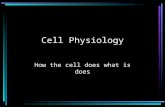 Cell Physiology How the cell does what is does Membrane Transport There is fluid on each side of the plasma membrane –Interstitial Fluid –Cytoplasm Solution-