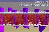 Lesson 1: Plasma Membranes. Cell membranes are made from 2 layers (a bilayer) of phospholipids  Phospholipids are AMPHIPATHIC  have a polar (hydrophilic)