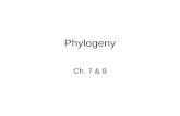 Phylogeny Ch. 7 & 8. Overview Evolution and sequence variation Phylogenetic trees –The meaning of distance –Evolutionary sequence models Constructing.