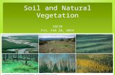 Soil and Natural Vegetation CGC1D Fri, Feb 28, 2014.