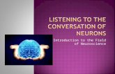 An Introduction to the Field of Neuroscience.  Devise a metaphor/imagery exercise for neural communication.
