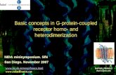 Basic concepts in G-protein-coupled receptor homo- and heterodimerization   RAFAEL FRANCO rfanco@ub.edu.