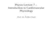 Physio Lecture 7 – Introduction to Cardiovascular Physiology Prof. dr. Željko Dujić.