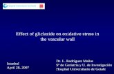Effect of gliclazide on oxidative stress in the vascular wall Istanbul April 28, 2007 Dr. L. Rodríguez Mañas Sº de Geriatría y U. de Investigación Hospital.