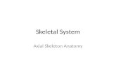 Skeletal System Axial Skeleton Anatomy. The skull 8 cranial bones: occipital, parietal, frontal, temporal, sphenoid, ethmoid 14 facial bones.