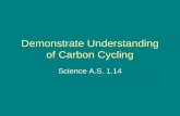 Demonstrate Understanding of Carbon Cycling Science A.S. 1.14.