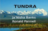 Ja’Nisha Banks Ronald Pannell.  Arctic tundra is located in the northern hemisphere, extending south to the coniferous forests of the taiga  average.