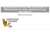 Segmentation of Tree like Structures as Minimisation Problem applied to Lung Vasculature Pieter Bruyninckx.