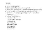 QUIZ 1.What is enzyme? 2.What is the function of enzyme? 3.What are the special characteristics of enzyme? 4.What kind of binding energy involve for the.