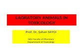 LAORATORY ANIMALS IN TOXICOLOGY Prof. Dr. Şahan SAYGI NEU Faculty of Pharmacy Department of Toxicology.