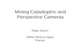 Mixing Catadioptric and Perspective Cameras Peter Sturm INRIA Rhône-Alpes France.