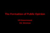 The Formation of Public Opinion US Government Mr. Stroman.