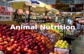 Animal Nutrition. Adequate Diet 1.Fuel Chemical Energy (ATP) 2.Organic Raw Materials Biosynthesis 3.Essential Nutrients Substances (e.g. vitamins) that.