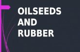 OILSEEDS AND RUBBER. OILSEEDS ECONOMIC IMPORTANCE OF OILSEEDS MAJOR OILSEEDS GROWN IN INDIA GEOGRAPHICAL REQUIREMENTS OF THE MAJOR OILSEEDS AREAS OF PRODUCTION.
