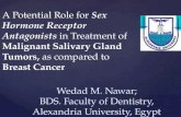 Wedad M. Nawar; BDS. Faculty of Dentistry, Alexandria University, Egypt A Role for Sex Hormone Receptor Antagonists in Treatment of Malignant Salivary.