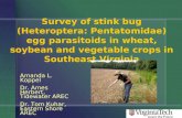 Survey of stink bug (Heteroptera: Pentatomidae) egg parasitoids in wheat, soybean and vegetable crops in Southeast Virginia Amanda L. Koppel Dr. Ames Herbert,