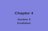 Chapter 4 Section 2 Evolution. Objectives Explain the process of evolution by natural selection. Explain the concept of adaptation. Describe the steps.
