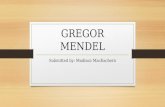 GREGOR MENDEL Submitted by: Madison MacEachern. WHO IS GREGOR MENDEL? Gregor Mendel was born in Austria on July 22 nd, 1822. Mendel grew up oon a farm.