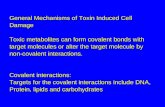 General Mechanisms of Toxin Induced Cell Damage Toxic metabolites can form covalent bonds with target molecules or alter the target molecule by non-covalent.