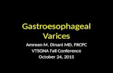Gastroesophageal Varices Amreen M. Dinani MD, FRCPC VTSGNA Fall Conference October 24, 2015.
