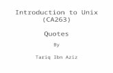 Introduction to Unix (CA263) Quotes By Tariq Ibn Aziz.