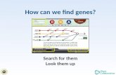 How can we find genes? Search for them Look them up.