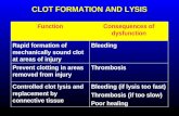 CLOT FORMATION AND LYSIS FunctionConsequences of dysfunction Rapid formation of mechanically sound clot at areas of injury Bleeding Prevent clotting in.