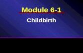 Module 6-1 Childbirth. Reproductive Anatomy and Physiology Delivery Initial care of the newborn Post delivery care of mother.
