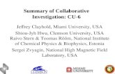 Summary of Collaborative Investigation: CU-6 Jeffrey Clayhold, Miami University, USA Shiou-Jyh Hwu, Clemson University, USA Raivo Stern & Toomas Rõõm,