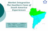 Market Integration The Southern Cone of South America Experiences Juan Luchilo – CAMMESA APEx 2003 Conference Cartagena, Colombia.