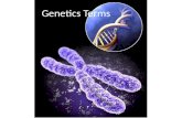 Genetics Terms. Genetics Heredity – passing of traits from one generation to the next. Genetics – “study of heredity” Traits – inherited characteristics.
