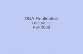 DNA Replication Lecture 11 Fall 2008. Read pgs. 305-312.