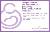 Cultural competence: An essential journey for perinatal nurses Mary Lou Moore, PhD, RN, FAAN Merry-K. Moos, MPH, RN, FNP, FAAN Lynn Clark Callister, PhD,