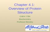 Chapter 4.1: Overview of Protein Structure CHEM 7784 Biochemistry Professor Bensley.