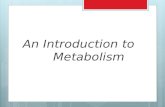 An Introduction to Metabolism. Metabolism/Bioenergetics  Metabolism: The totality of an organism’s chemical processes; managing the material and energy.