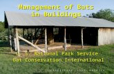 Management of Bats in Buildings U. S. National Park Service Bat Conservation International Bat Conservation International E X P E R I E N C E Y O U R A.