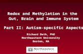 Redox and Methylation in the Gut, Brain and Immune System Part II: Autism-specific Aspects Richard Deth, PhD Northeastern University Boston, MA.