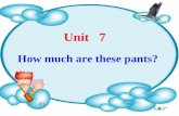 Unit 7 How much are these pants? Task One: Look and choose.