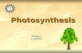 Photosynthesis Biology 2 D. Mitchell. . All life requires energy All life requires energy Almost all energy for life is derived from the sun. Almost all.