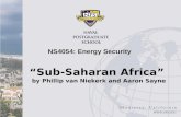 “Sub-Saharan Africa” by Phillip van Niekerk and Aaron Sayne NS4054: Energy Security.