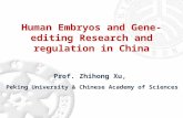 Human Embryos and Gene-editing Research and regulation in China Prof. Zhihong Xu, Peking University & Chinese Academy of Sciences.