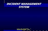ELGIN FIRE DEPARTMENT - TRAINING DIVISION - 1998 INCIDENT MANAGEMENT SYSTEM.