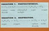 Cellular Respiration  Cellular Respiration : metabolic reactions that convert stored chemical energy into usable chemical energy (ATP).  Where? inside.