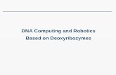 DNA Computing and Robotics Based on Deoxyribozymes.