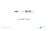 © Nuffield Foundation 2011 Animal Ethics Animal Testing.