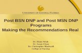 Post BSN DNP and Post MSN DNP Programs Making the Recommendations Real Dr. Diane Wink Dr. Susan Chase Dr. Christopher Blackwell College of Nursing.