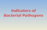 Introduction All pathogenic microorganisms implicated in foodborne diseases are considered enteric pathogens, except S. aureus, B. cereus, C. botulinum.