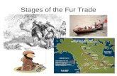 Stages of the Fur Trade. 1497 Cabot discovers cod fishery 1534 Cartier claims Gulf of St. Lawrence for France – meets natives who want to trade furs for.