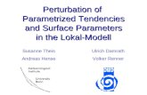 Perturbation of Parametrized Tendencies and Surface Parameters in the Lokal-Modell Susanne Theis Andreas Hense Ulrich Damrath Volker Renner.